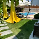 Pupa Alacati Butik * Çeşme