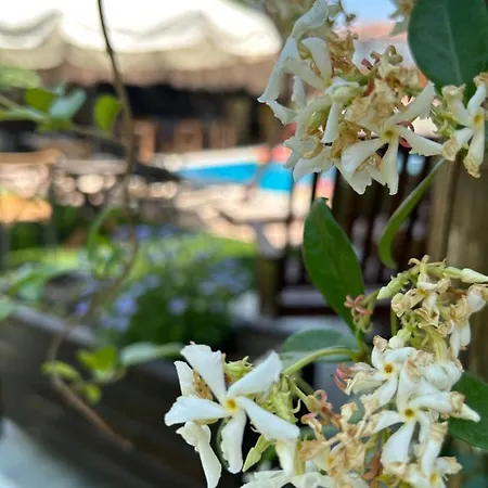 فندق Pupa Alacati Butik Çeşme